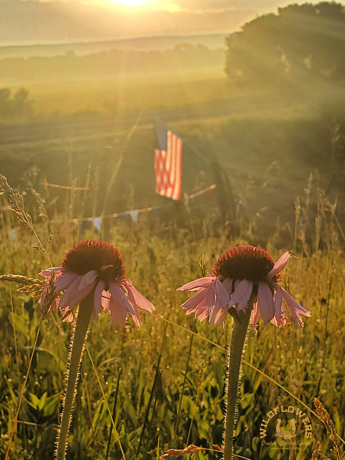 For the Love of Red, White & Blue!