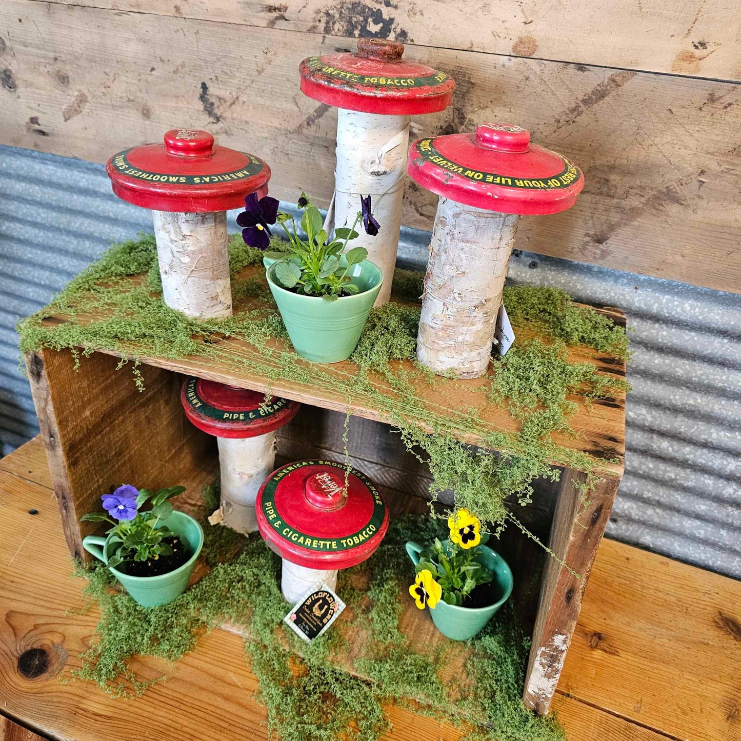 Tobacco Tin & Wood Mushrooms