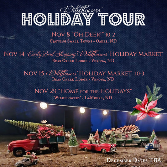 Home for the Holidays - November 29, 2025