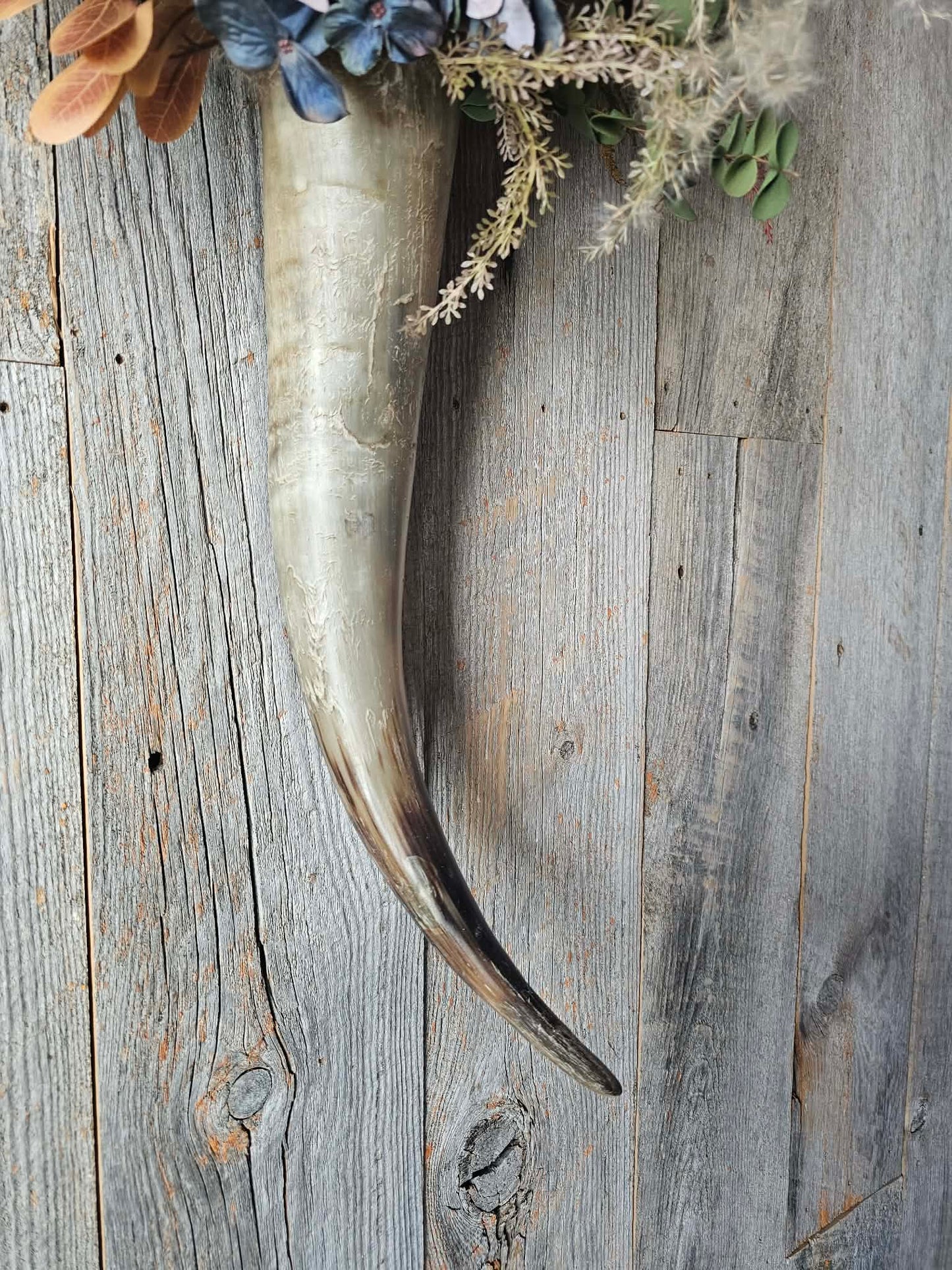 Genevieve Longhorn Art